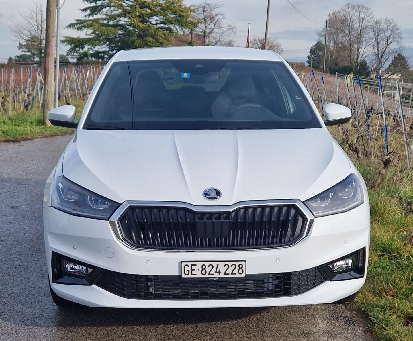 Voiture auto-école des Ormeaux